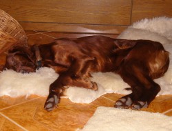 Brenda 2005.jpg