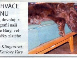 Barča Magazin KN 2012x.jpg