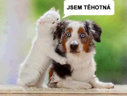 tehotna.jpg