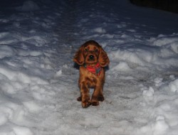 BASTIEN 2013.jpg