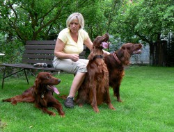 Bellinda,Candy,Bára 2009.JPG